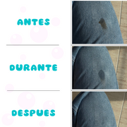 Quitamanchas Portátil
